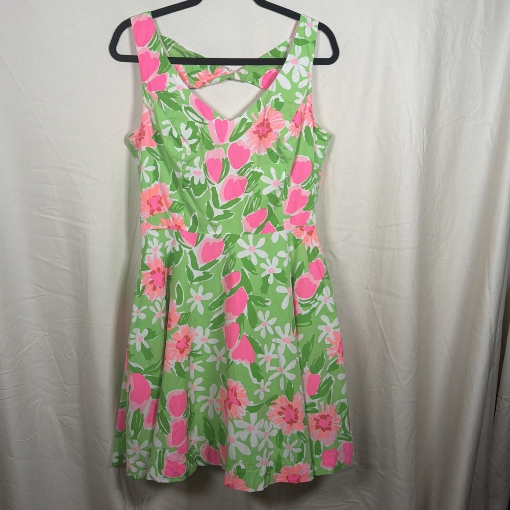 Lilly Pulitzer Pink & Green Floral Fit-and-Flare Midi Dress